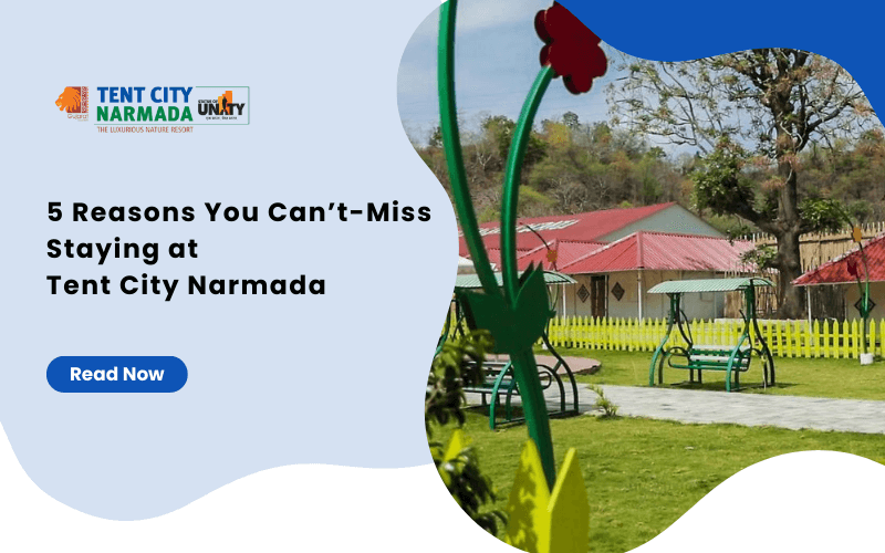 5 Reasons You Can’t-Miss Staying at Tent City Narmada